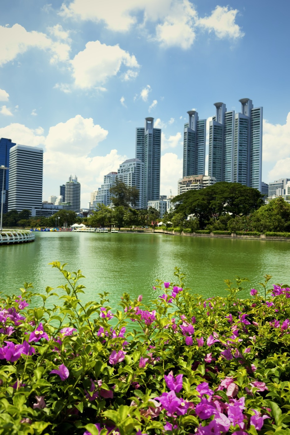 Bangkok park lake with bougainvillea and skyline — Positive recipe
